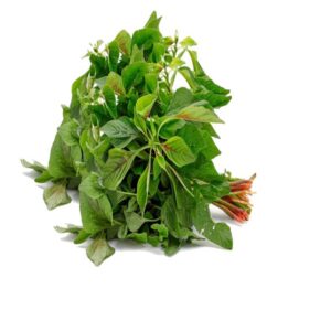Bitekuteku (amarante) â Botte ± 500 g