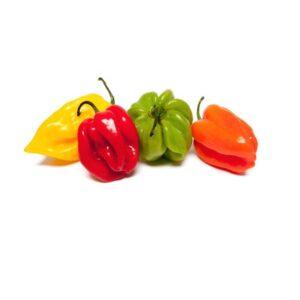Pili-pili frais — Barquette 250 g