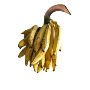 Plantain mûr — Régime