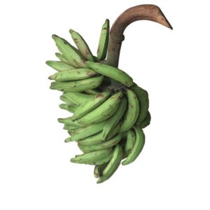 Plantain vert — Régime
