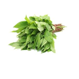 Pondu (feuilles de manioc) — Botte fraîche