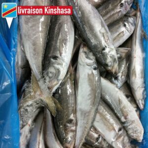 Thomson Ram — Carton 10 kg